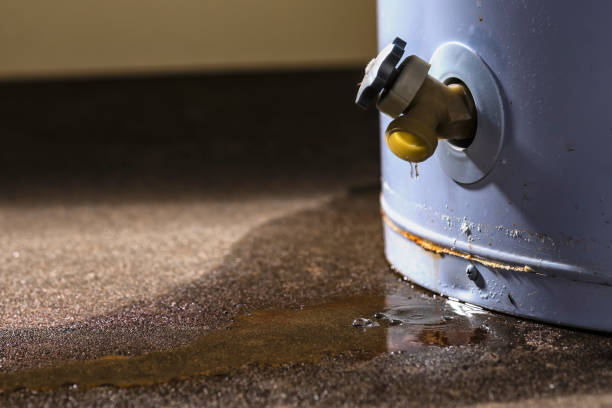Best Water damage restoration experts  in Meyersdale, PA