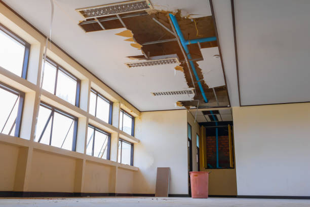 Best Residential water damage restoration  in Meyersdale, PA