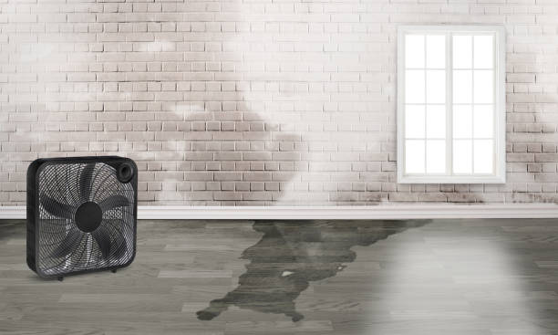 Trusted Meyersdale, PA Water damage restoration Experts