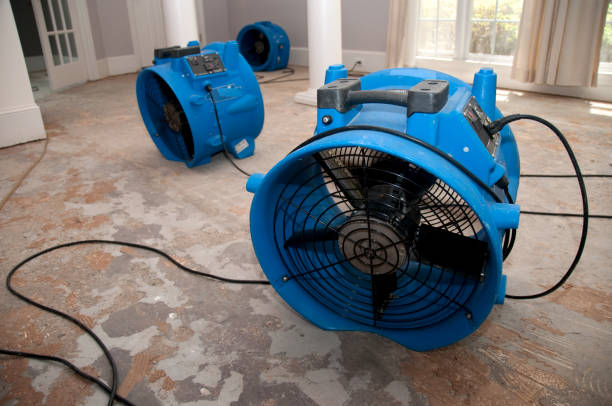 Best 24/7 water damage repair  in Meyersdale, PA