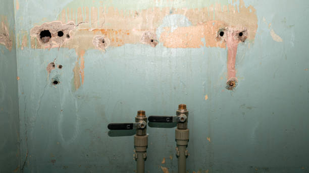 Best Emergency water damage restoration  in Meyersdale, PA