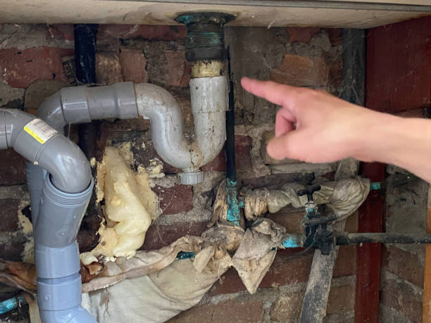 Best Water damage restoration near me  in Meyersdale, PA