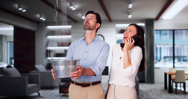 Best Basement water damage restoration  in Meyersdale, PA