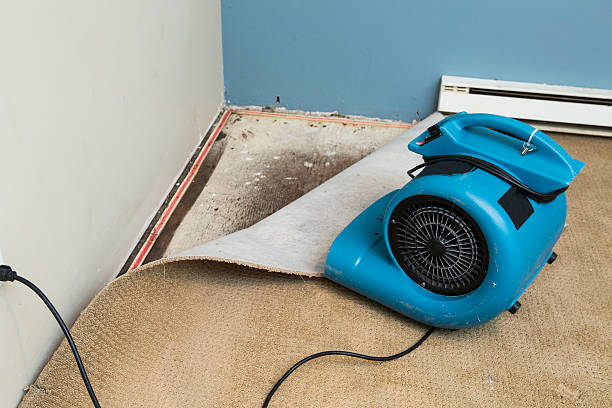 Best Water damage restoration near me  in Meyersdale, PA